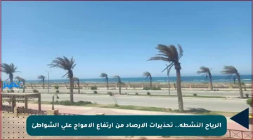 الرياح النشطة.. تحذيرات الأرصاد من ارتفاع الأمواج على الشواطئ